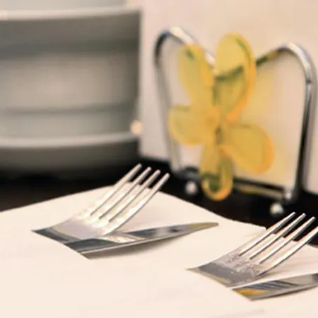 בית הארחה Hotel-pension Cortina 2*